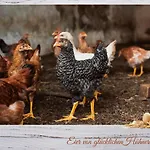 Fewo-egger-thalmann דירה ווירגן