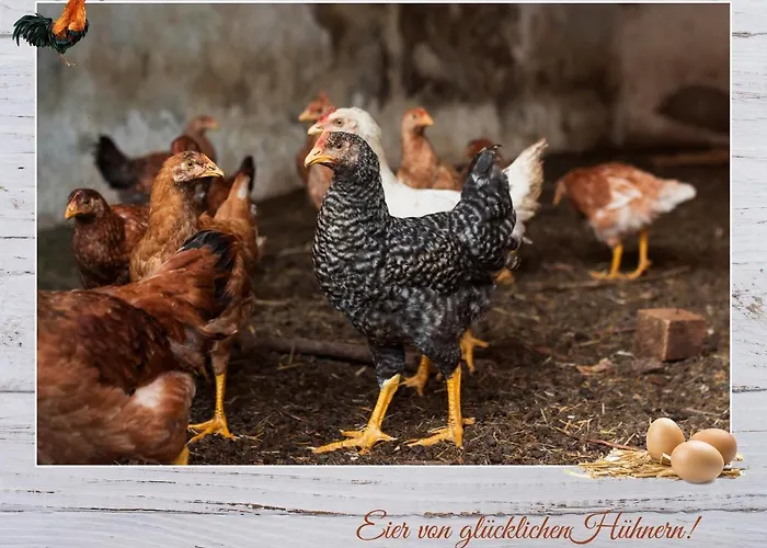 Fewo-egger-thalmann アパート ヴィルゲン