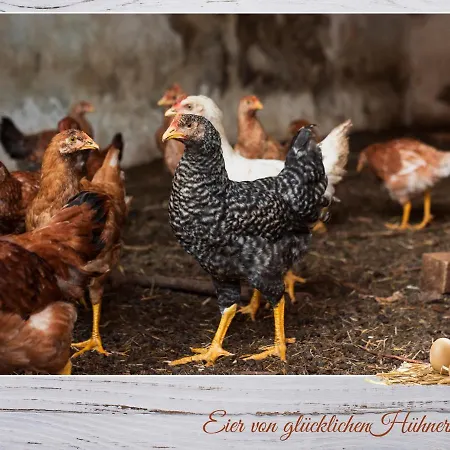 Fewo-egger-thalmann Apartman Virgen
